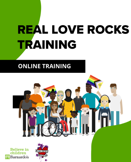 Picture of Level 2 Online Training Pack